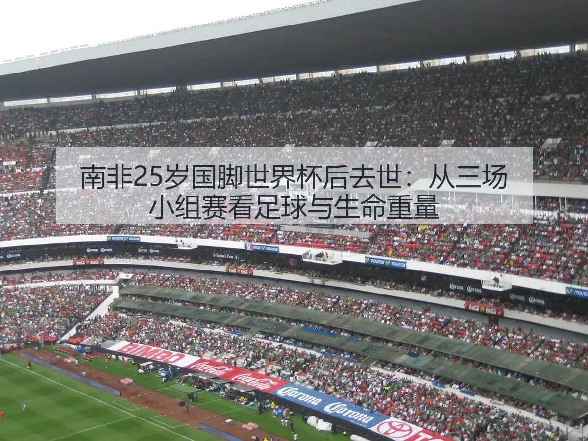 南非25岁国脚世界杯后去世:从三场小组赛看足球与生命重量